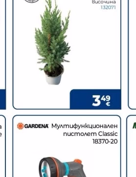 Хвойна