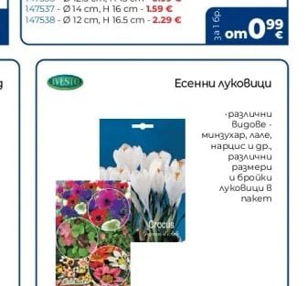 IVESTO Есенни луковици