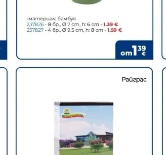 Райграс