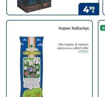Корен Хибискус