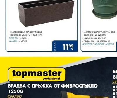 Сандъче БЕГОНИЯ