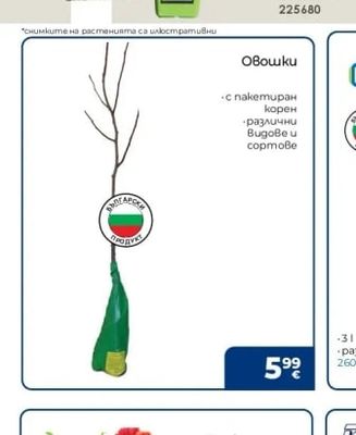 Овошки