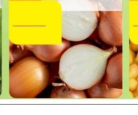 Лук