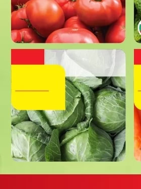 Диня