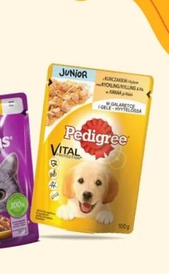 Pedigree Pedigree VITAL