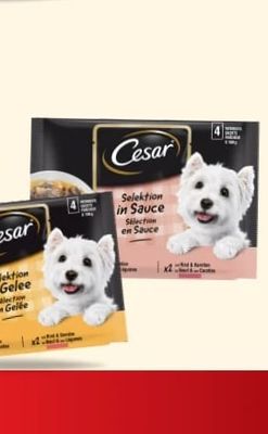 Cesar Cesar Selektion in Gelee
