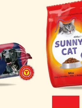 SUNNY SUNNY CAT Mix