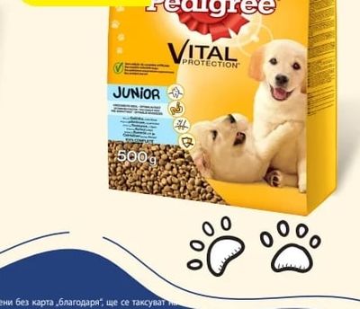 Pedigree VITAL PROTECTION JUNIOR
