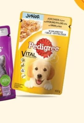 Pedigree Pedigree Vital Protection Junior