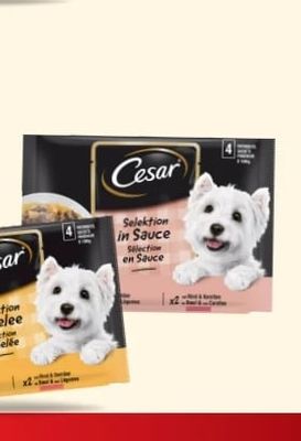 Cesar Cesar Selektion in Gelee