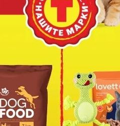 Dog Food