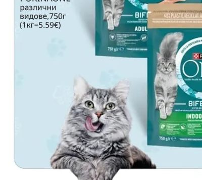 PURINA ONE Суха храна за котка