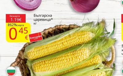 Български червенлук