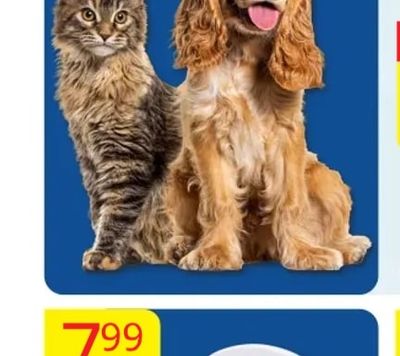 Whiskas Пауч за котки WHISKAS или закуче PEDIGREE