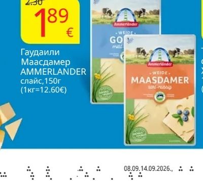 Гаудаили Маасдамер слайс