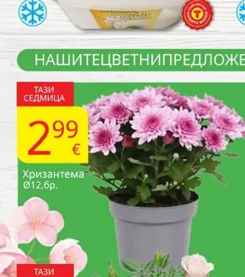 Meltez Сладолед MELTEZ