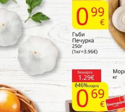 Гъби Печурка