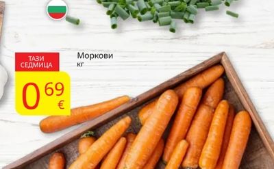 Моркови