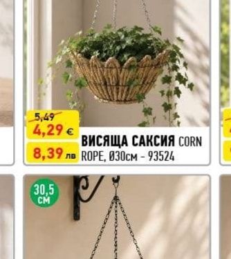 ВИСЯЩА САКСИЯ CORN