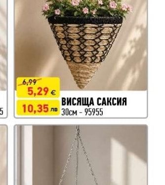 ВИСЯЩА САКСИЯ