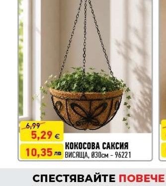 КОКОСОВА САКСИЯ