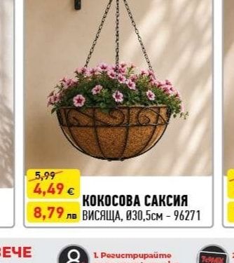 КОКОСОВА САКСИЯ