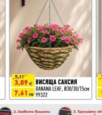 ВИСЯЩА САКСИЯ