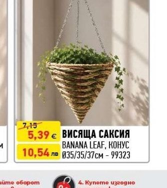ВИСЯЩА САКСИЯ