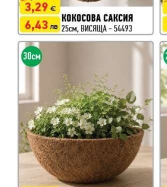 КОКОСОВА САКСИЯ