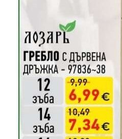 ГРЕБЛО С ДЪРВЕНА ДРЪЖКА
