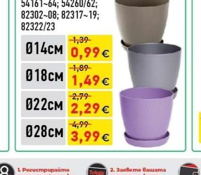 САКСИЯ ФЛОРА