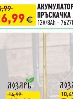 BLUERAIN ГРАДИНСКА ПРЪСКАЧКА С МЕТАЛЕН УДЪЛЖИТЕЛ