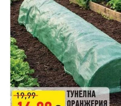 ТУНЕЛНА ОРАНЖЕРИЯ